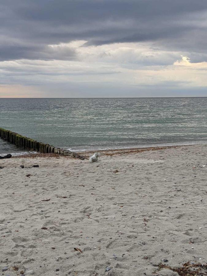Appartement Sundevit Boergerende-Rethwisch Luaran gambar